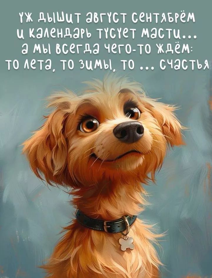 Уж дышит август сентябрём и календарь тусует масти... а мы всегда чего-то ждём: то лета, то зимы, то ... счастья.