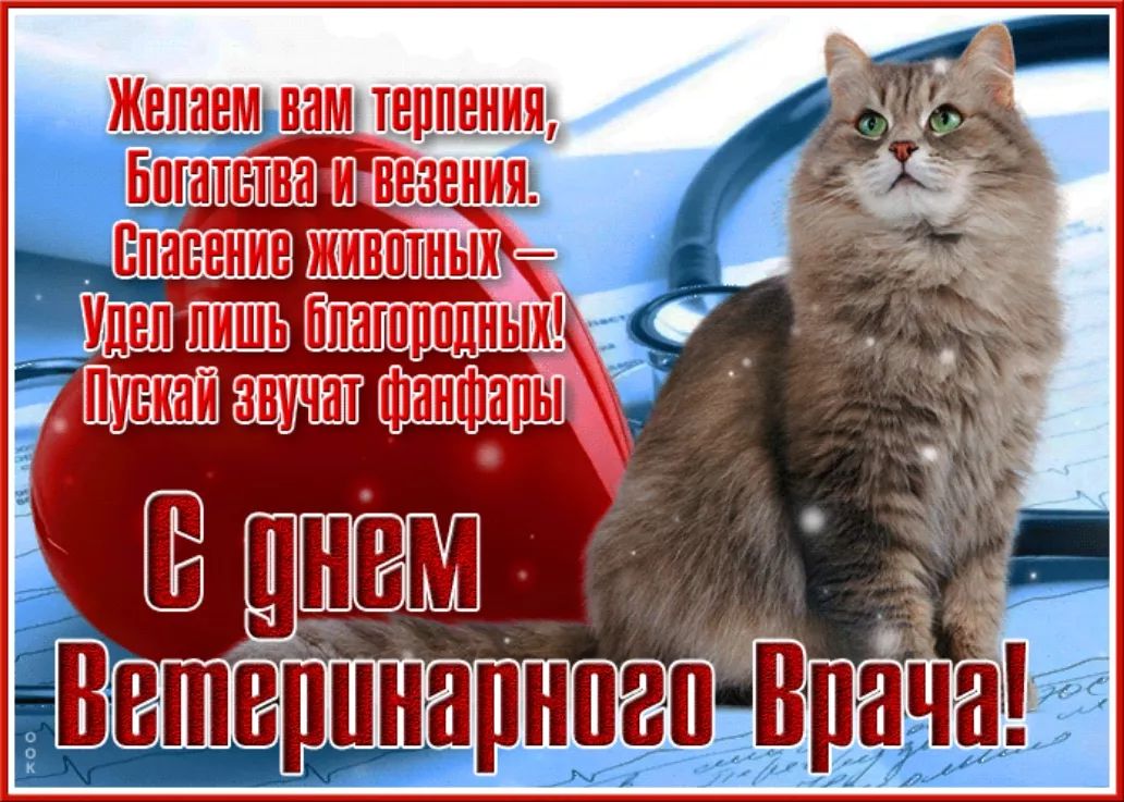 Желаем вам терпения, Богатства и везения. Спасение животных — Удел лишь благородных! Пусть звучат фанфары С днем Ветеринарного Врача!