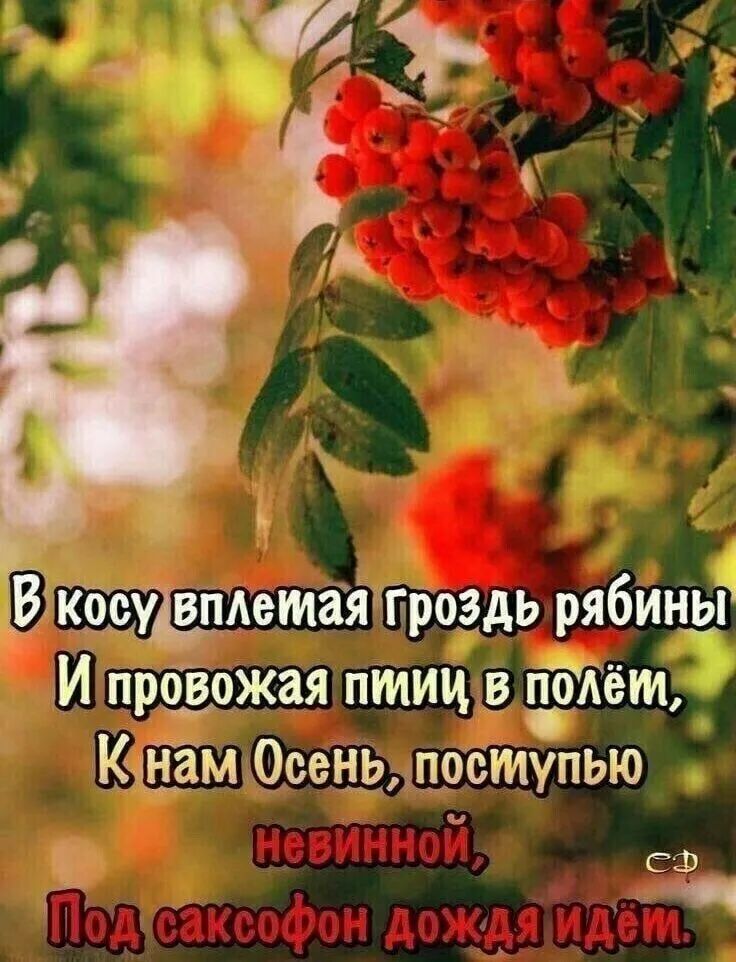 В косу вплетая гроздь рябины
И провожая птиц в полёт,
К нам Осень, постепенно,
невинной,
Под саксофон дождя идём.