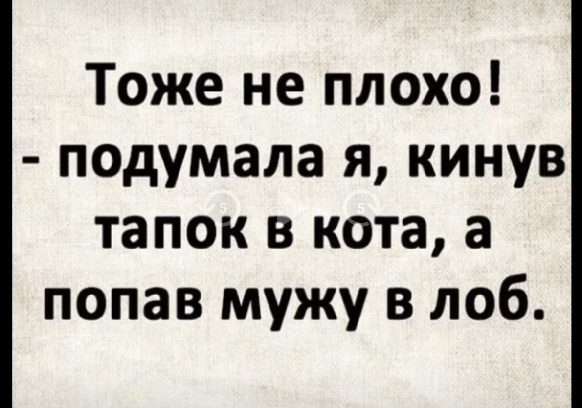 Тоже не плохо! - подумала я, кинув тапок в кота, а попав мужу в лоб.