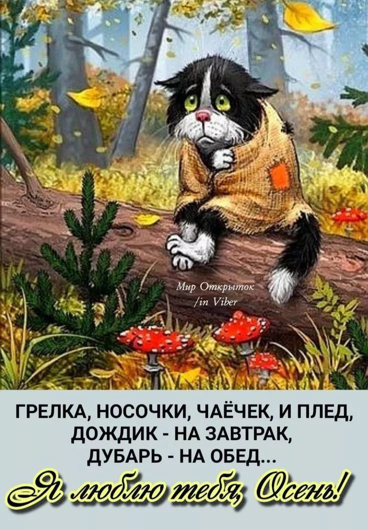 ГРЕЛКА, НОСОЧКИ, ЧАЕЧЕК, И ПЛЕД, ДОЖДИК - НА ЗАВТРАК, ДУБАРЬ - НА ОБЕД...
Я люблю тебя, Осень!