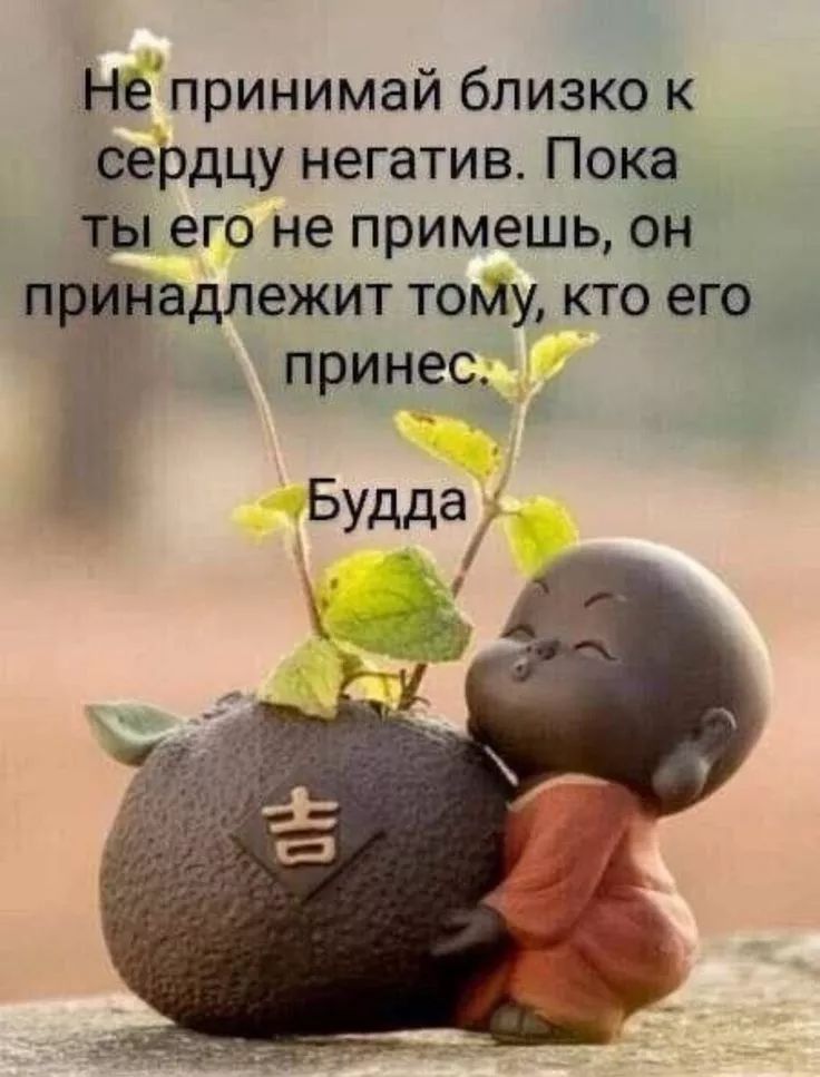 Не принимай близко к сердцу негатив. Пока ты его не примешь, он принадлежит тому, кто его принес.
Будда