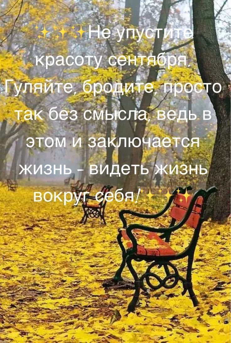 Не упустите красоту сентября. Гуляйте, бродите, просто так без смысла, ведь в этом и заключается жизнь - видеть жизнь вокруг себя!