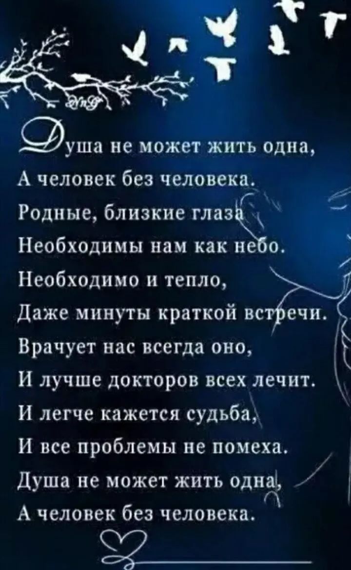 Душа не может жить одна, А человек без человека. Родные, близкие глаза Необходимы нам как небо. Необходимо и тепло, Даже минуты краткой встречи. Врачует нас всегда оно, И лучше докторов всех лечит. И легче кажется судьба, И все проблемы не помеха. Душа не может жить одна, А человек без человека.