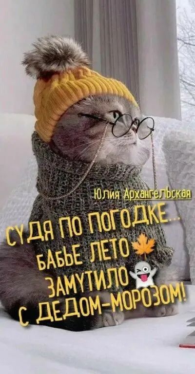 Судя по погодке... Бабье лето замутило с Дедом Морозом!