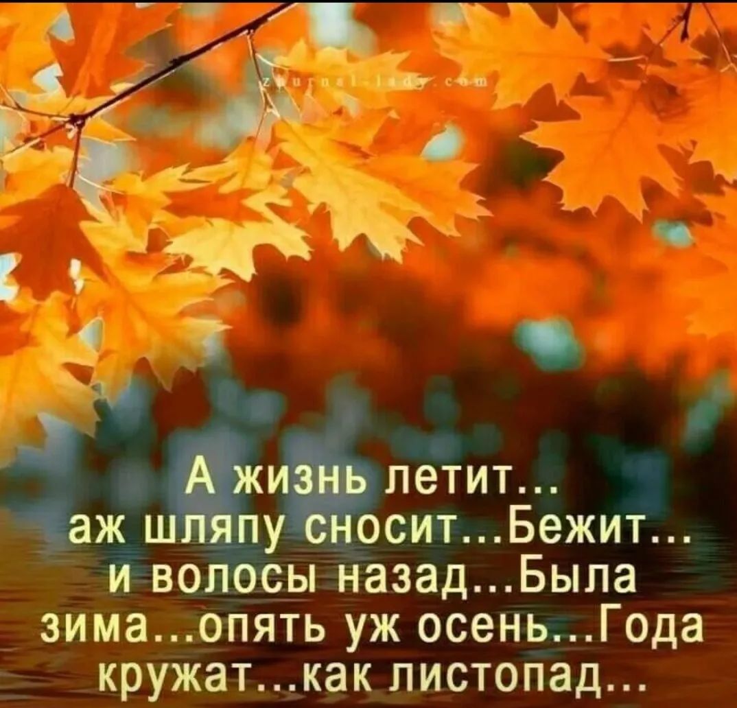 А жизнь летит...
аж шляпу сносит... Бежит...
и волосы назад... Была
зима... опять уж осень...
Года крутят... как листопад...