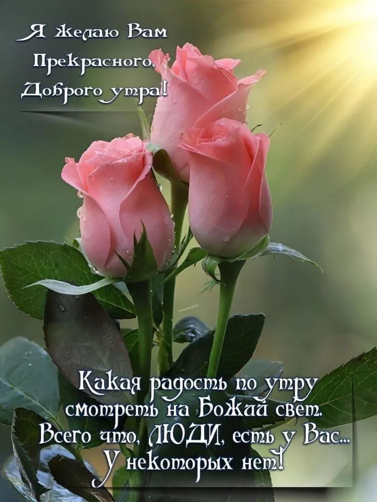 Я желаю Вам Прекрасного, Доброе утро! Какая радость по утру смотреть на Божий свет. Всего что, ЛЮДИ, есть у Вас... У некоторых нет!