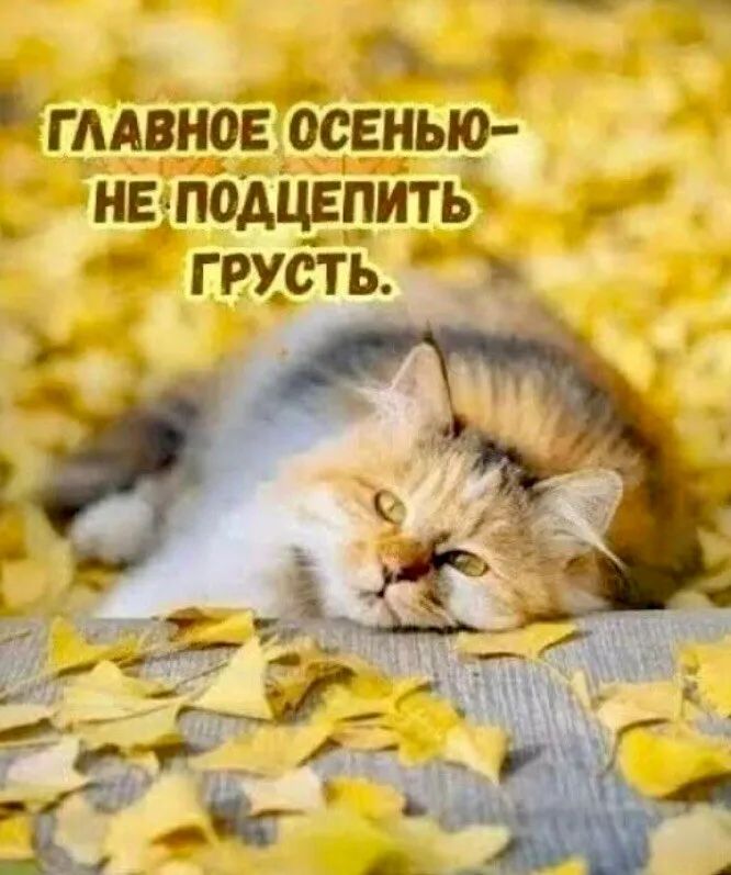 ГЛАВНОЕ ОСЕНЬЮ – НЕ ПОДЦЕПИТЬ ГРУСТЬ.