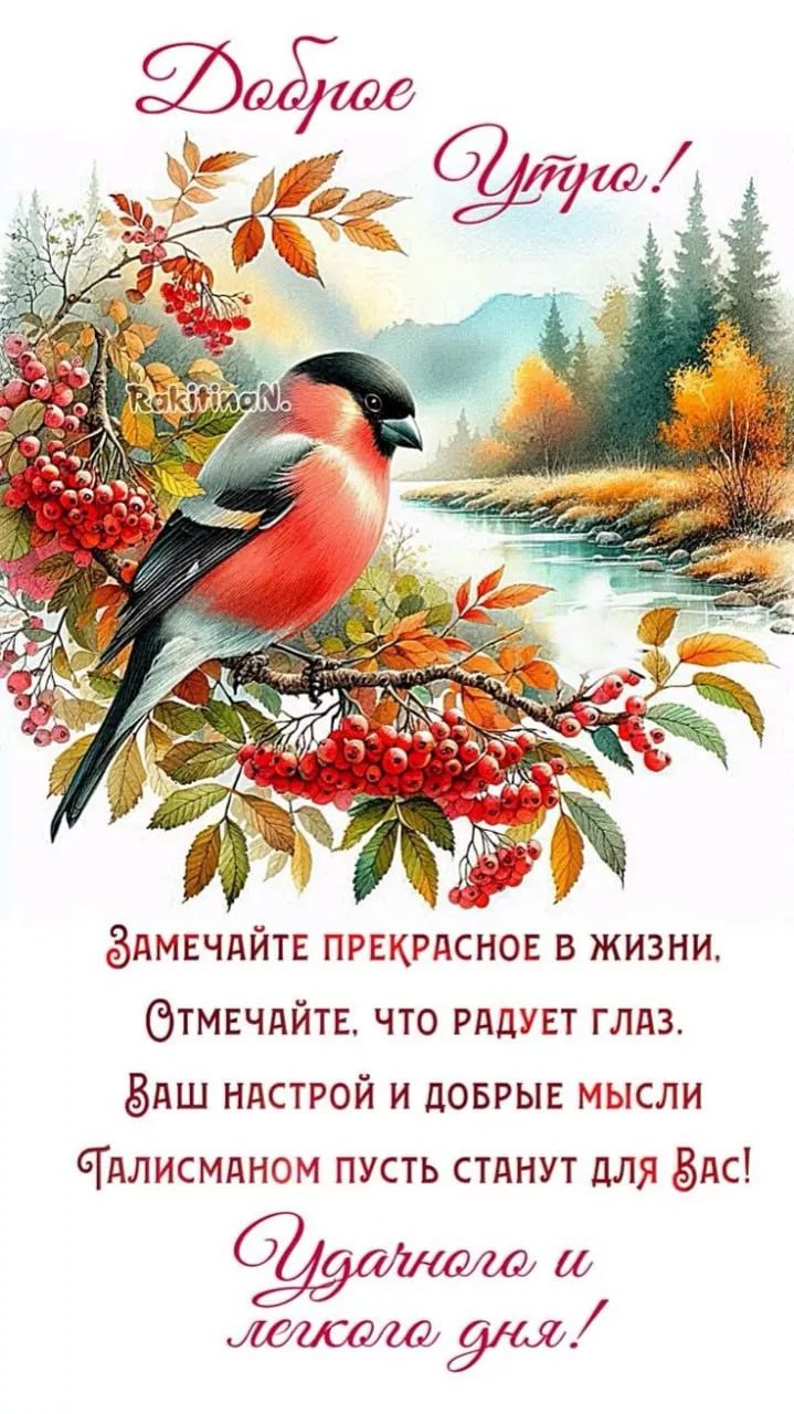 Доброе Утро!
Замечайте прекрасное в жизни.
Отмечайте, что радует глаз.
Ваш настрой и добрые мысли
Талисманом пусть станут для Вас!
Удачного и легкого дня!