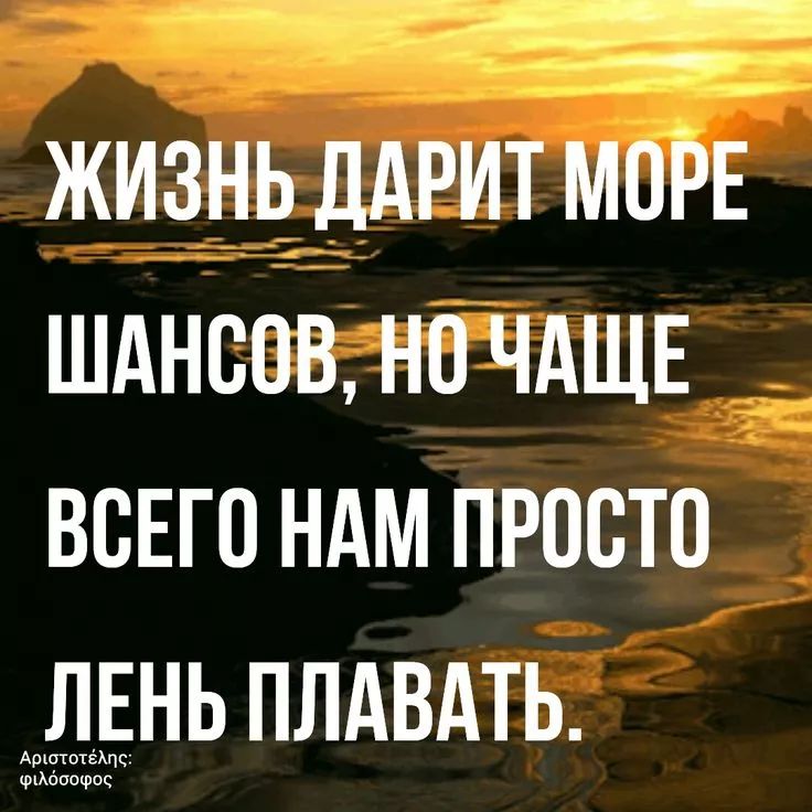 ЖИЗНЬ ДАРИТ МОРЕ ШАНСОВ, НО ЧАЩЕ ВСЕГО НАМ ПРОСТО ЛЕНЬ ПЛАВАТЬ.
Аристотель; философ