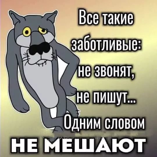 Все такие заботливые: не звонят, не пишут... Одним словом не мешают