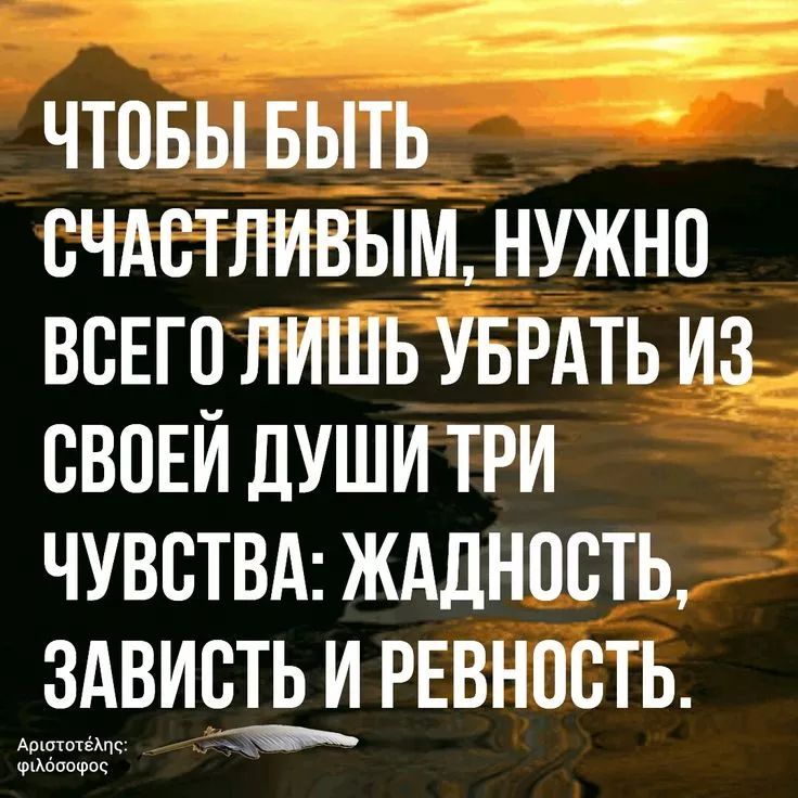 Чтобы быть счастливым, нужно всего лишь убрать из своей души три чувства: жадность, зависть и ревность.
