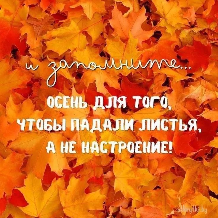 и запомните... ОСЕНЬ ДЛЯ ТОГО, ЧТОБЫ ПАДАЛИ ЛИСТЬЯ, А НЕ НАСТРОЕНИЕ!