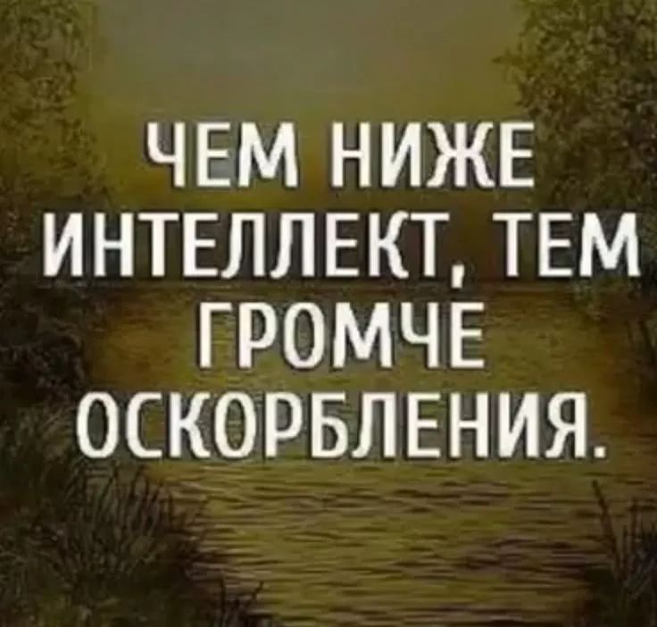 ЧЕМ НИЖЕ ИНТЕЛЛЕКТ, ТЕМ ГРОМЧЕ ОСКОРБЛЕНИЯ.