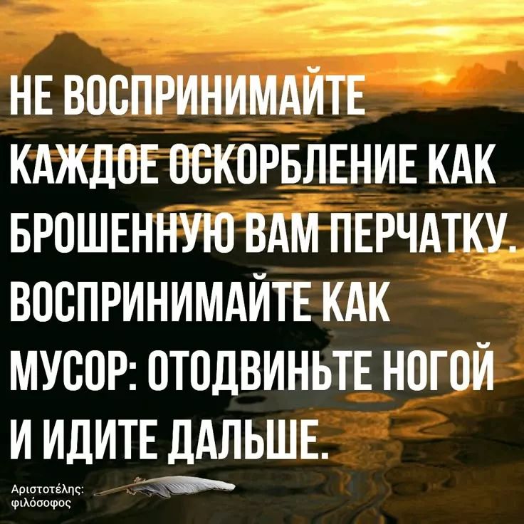 НЕ ВОСПРИНИМАЙТЕ КАЖДОЕ ОСКОРБЛЕНИЕ КАК БРОШЕННУЮ ВАМ ПЕРЧАТКУ. ВОСПРИНИМАЙТЕ КАК МУСОР: ОТОДВИНЬТЕ НОГОЙ И ИДИТЕ ДАЛЬШЕ.