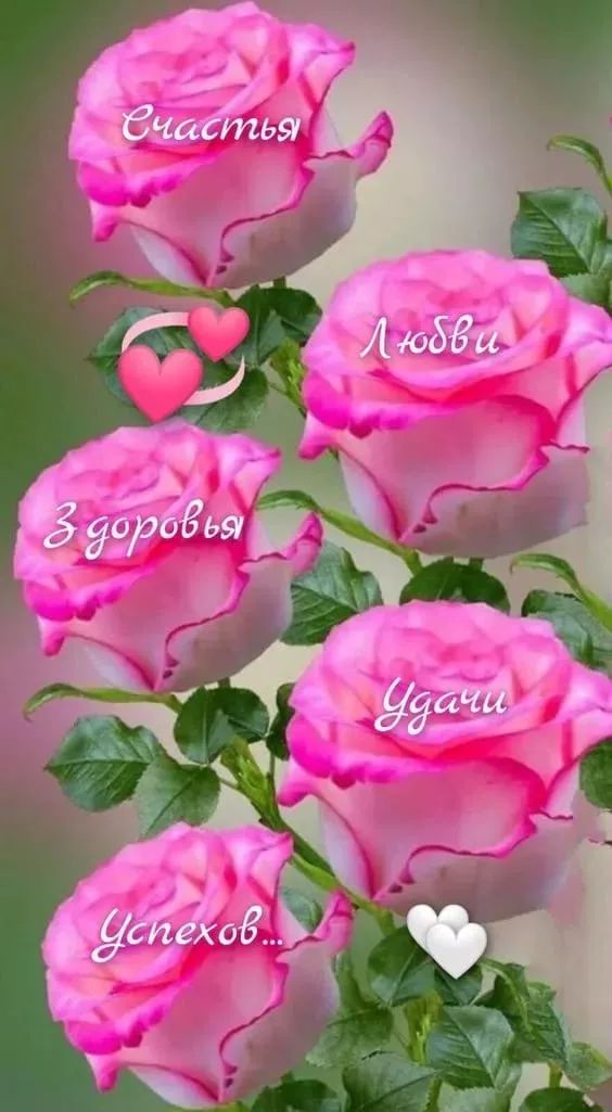 Счастья
Любви
Здоровья
Удачи
Успехов...
