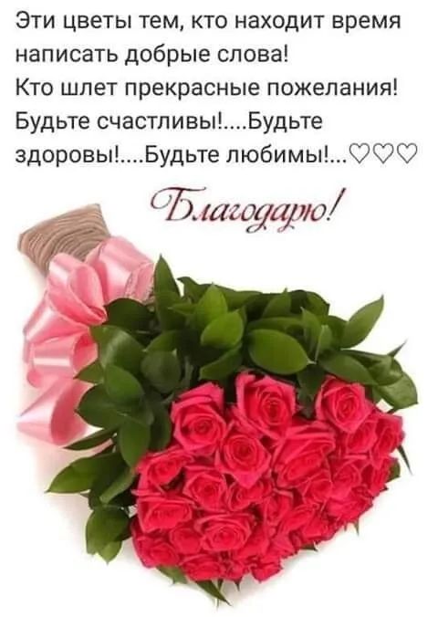Эти цветы тем, кто находит время написать добрые слова! Кто шлет прекрасные пожелания! Будьте счастливы!...Будьте здоровы!...Будьте любими!...♡♡♡ Благодарю!