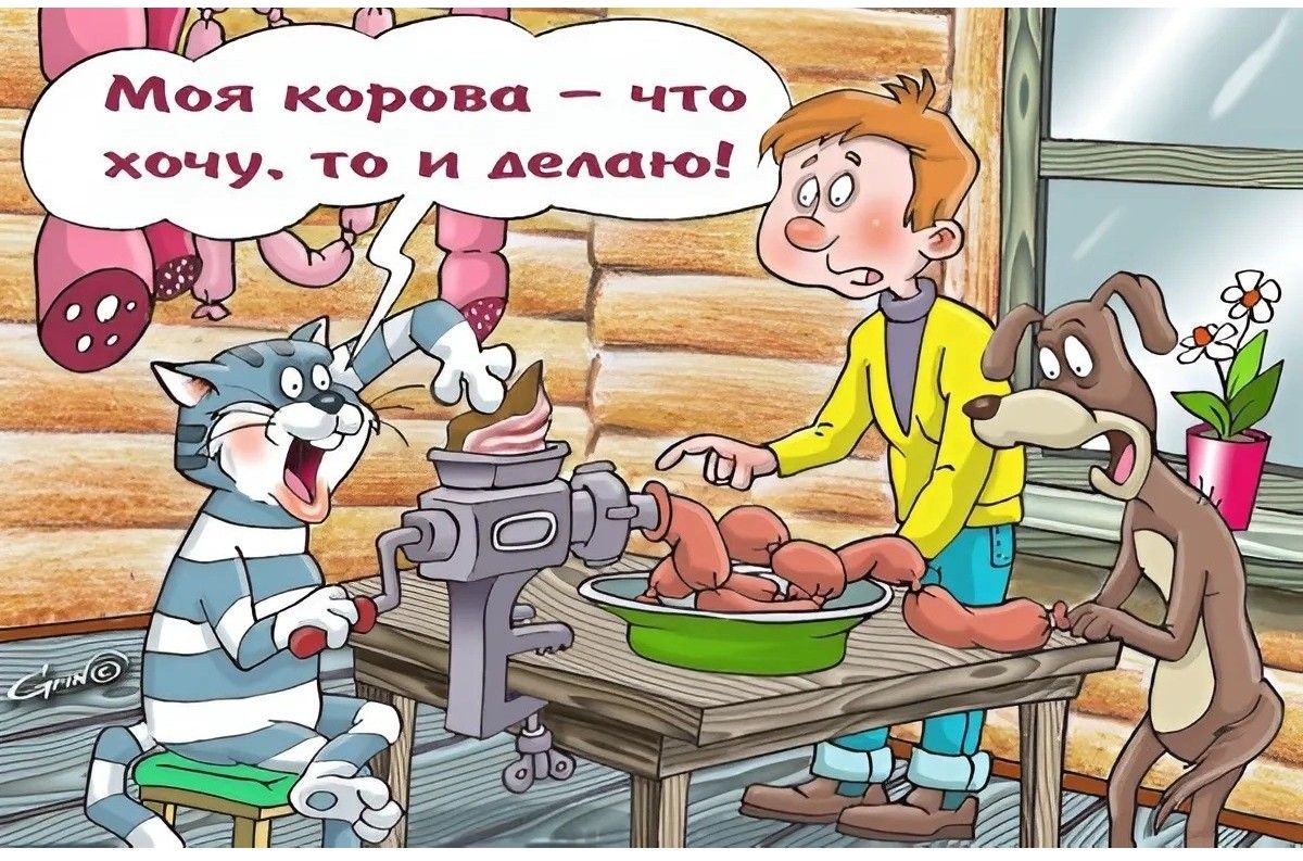 Моя корова – что хочу, то и делаю!