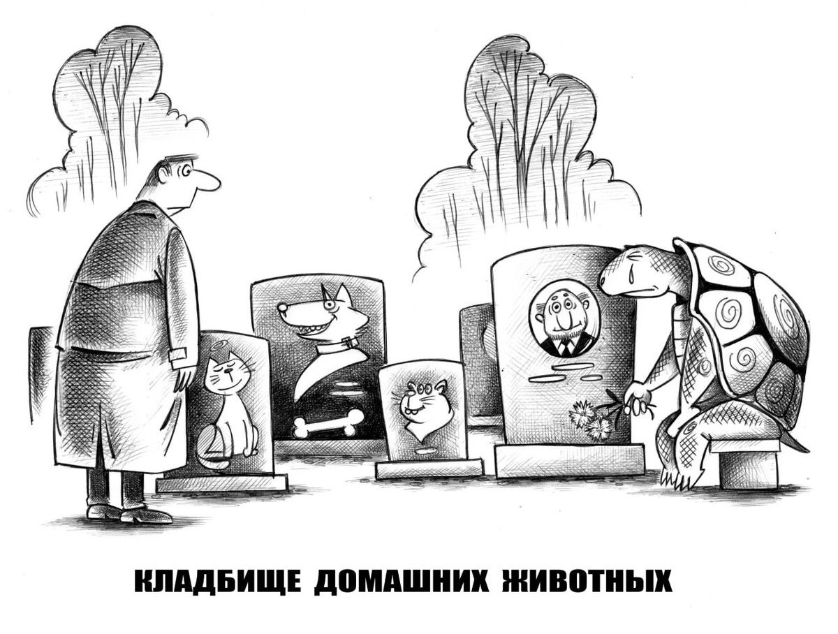 КЛАДБИЩЕ ДОМАШНИХ ЖИВОТНЫХ
