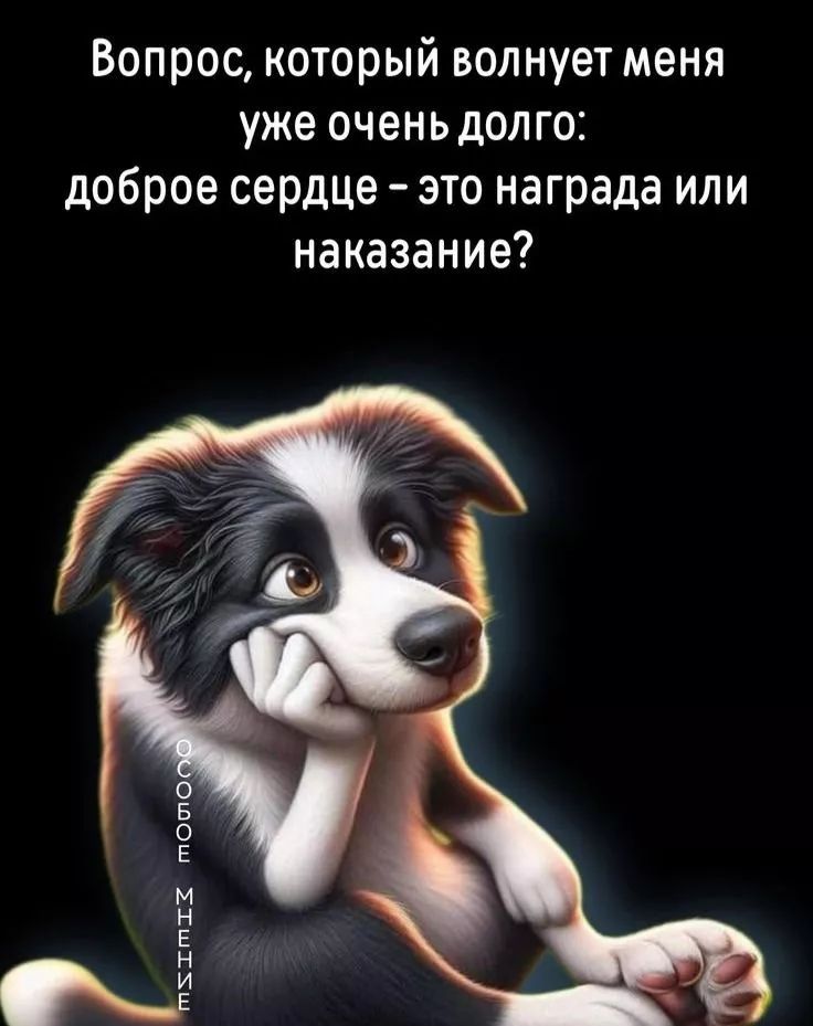 Вопрос, который волнует меня уже очень долго: доброе сердце – это награда или наказание?