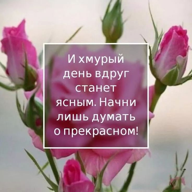 И хмурый день вдруг станет ясным. Начни лишь думать о прекрасном!