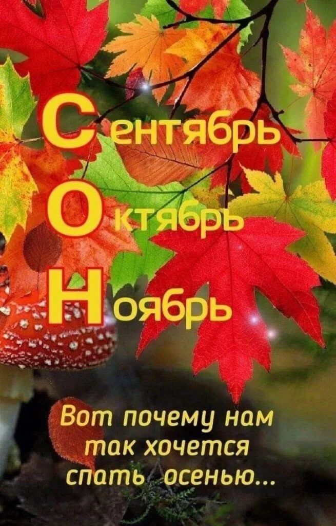Сентябрь Октябрь Ноябрь Вот почему нам так хочется спать осенью...