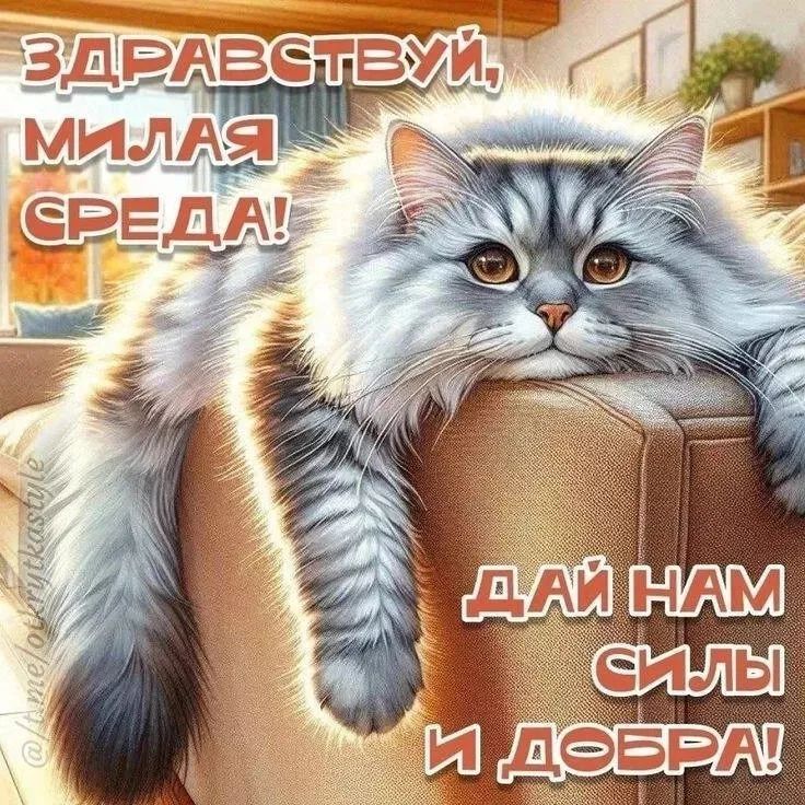 ЗДРАВСТВУЙ, МИЛАЯ СРЕДА! ДАЙ НАМ СИЛЫ И ДОБРА!
