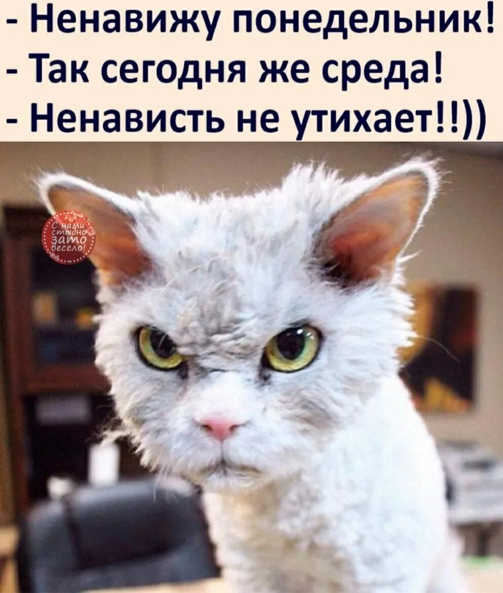  - Ненавижу понедельник! - Так сегодня же среда! - Ненависть не утихает!!))