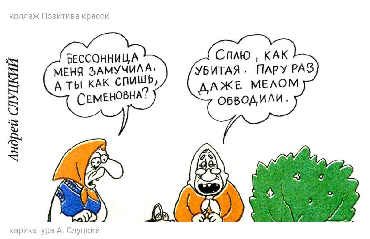 Бессонница меня замучила. А ты как спишь, Семёновна?
Сплю, как убитая, пару раз даже мёлом обводили.