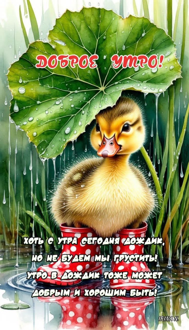 ДОБРОЕ УТРО!
Хотя с утра сегодня дождик, 
но не будем мы грустить! 
Утро в дождик тоже может 
добрым и хорошим быть!