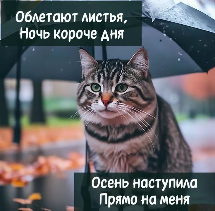 Облетают листья, Ночь короче дня Осень наступила Прямо на меня