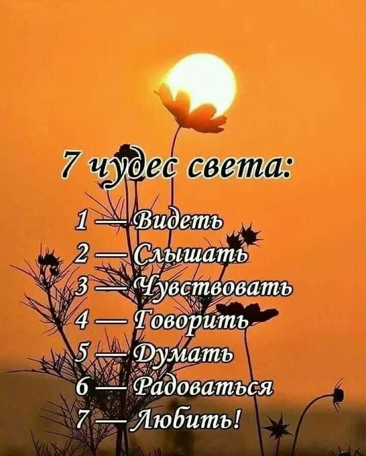 7 чудес света:
1 — Видеть
2 — Слышать
3 — Чувствовать
4 — Говорить
5 — Думать
6 — Радоваться
7 — Любить!