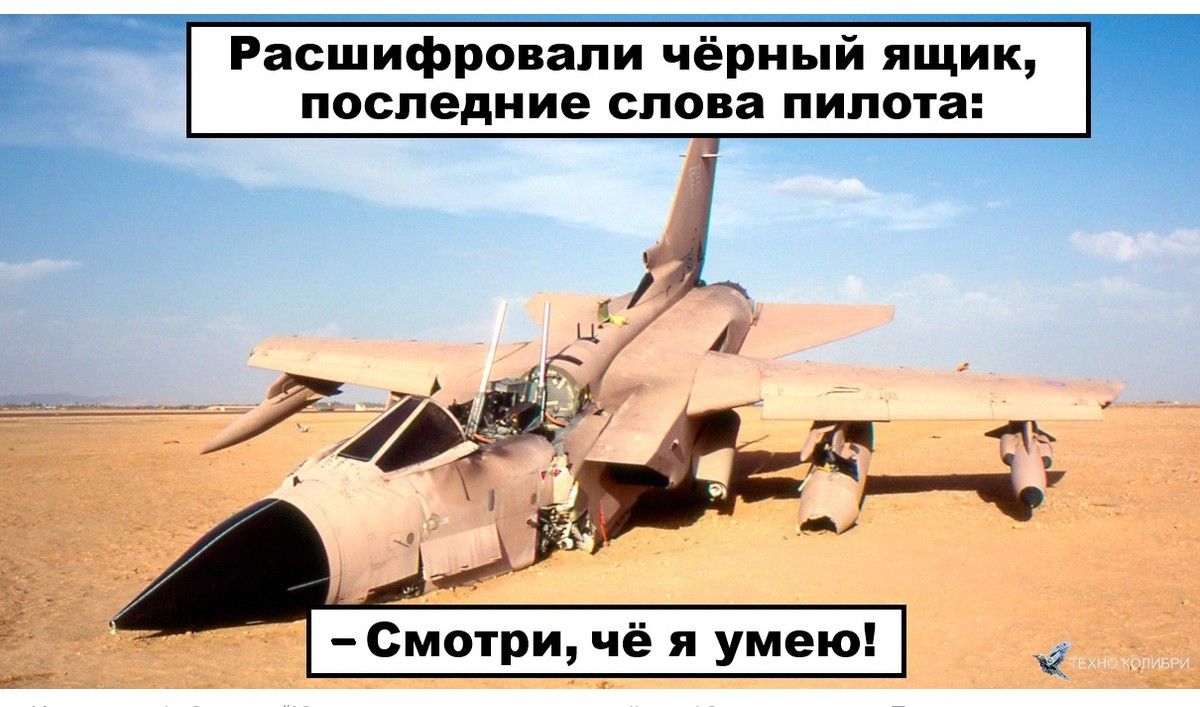 Расшифровали чёрный ящик, последние слова Pilota: - Смотри, чё я умею!