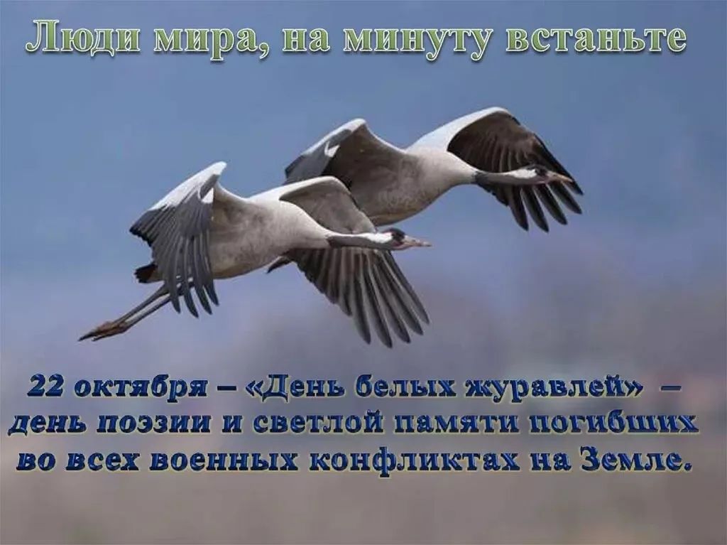 Люди мира, на минуту встаньте
22 октября – «День белых журавлей» – день поэзии и светлой памяти погибших во всех военных конфликтах на Земле.
