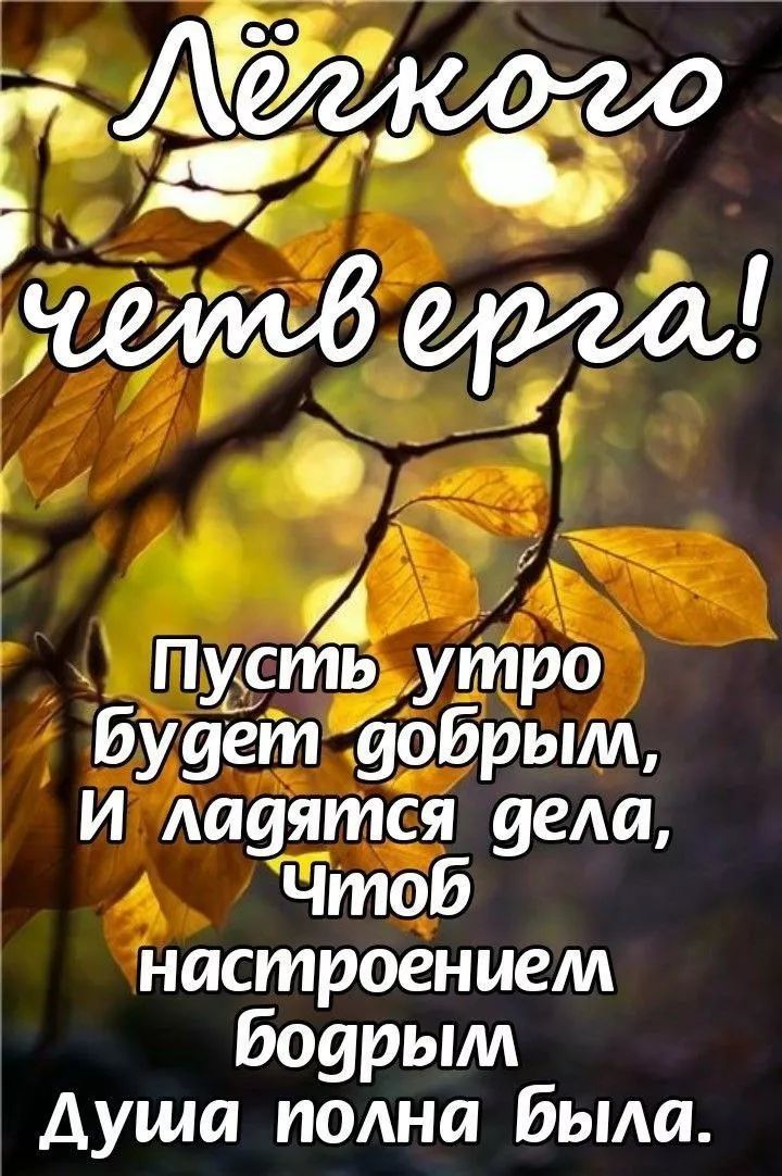Лёгкого четверга!
Пусть утро будет добрым,
И ладятся дела,
Чтоб настроением бодрым
Душа полна была.