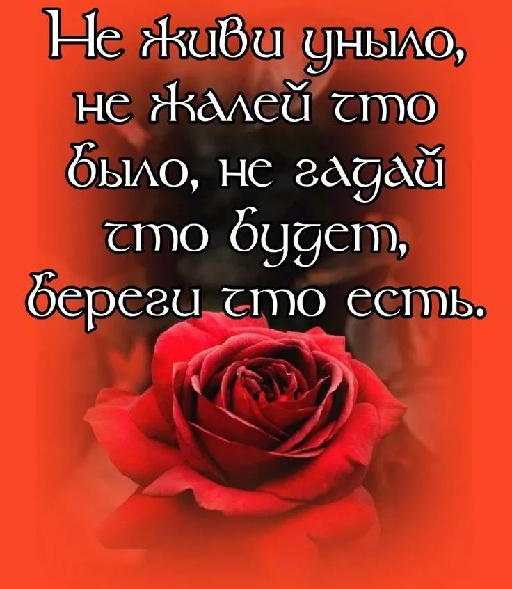 Не живи уныло, не жалей что было, не гадай что будет, береги что есть.