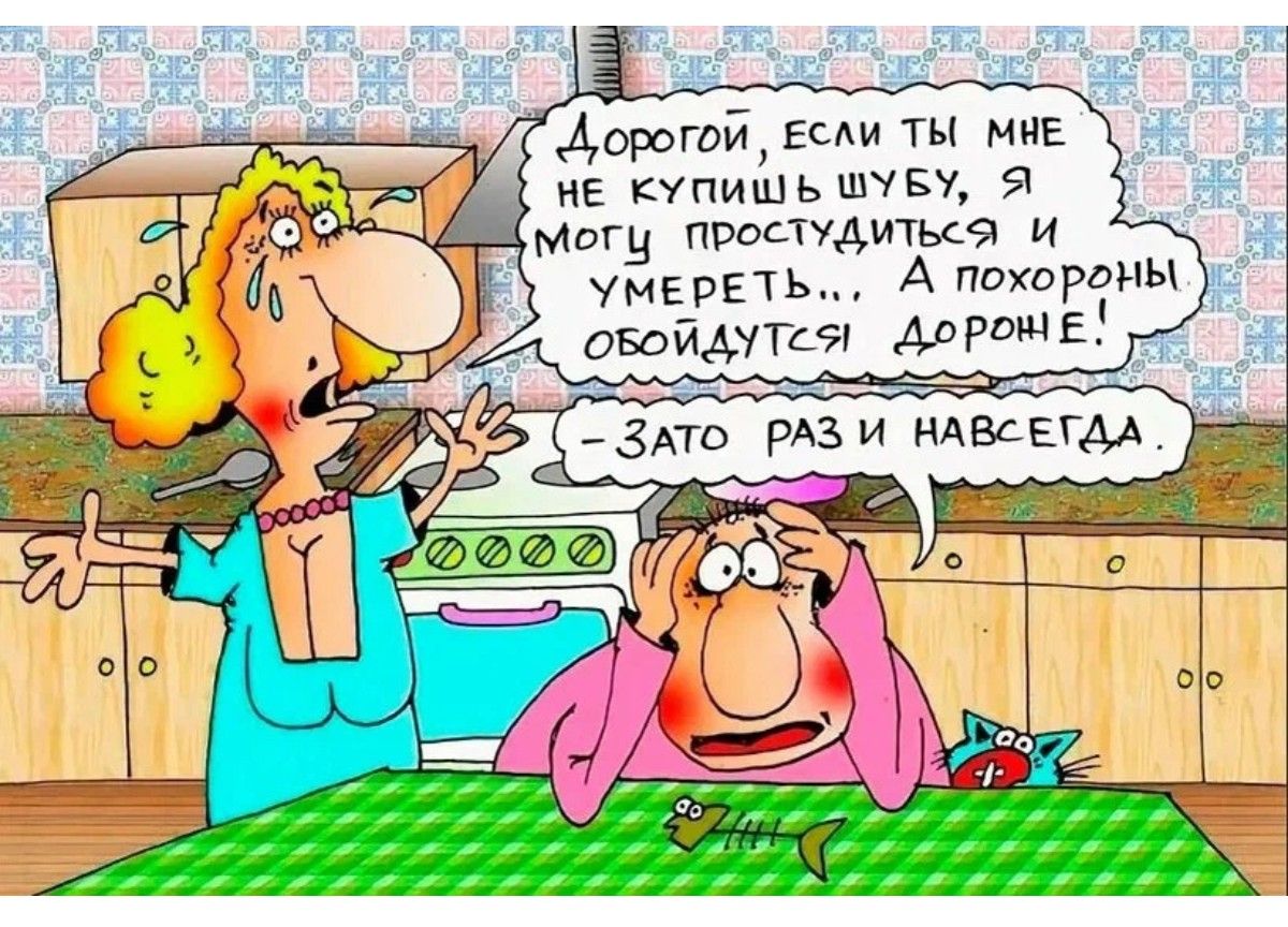 Дорогой, если ты мне не купишь шубу, я могу простудиться и умереть!... А похороны обойдутся дороже! - Зато раз и навсегда.