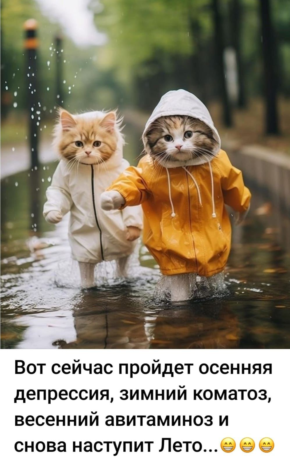 Вот сейчас пройдет осенняя депрессия, зимний коматоз, весенний авитаминоз и снова наступит Лето... 😁😁😁