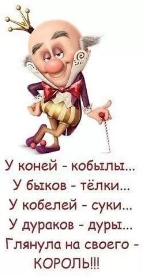 У коней - кобылы... У быков - тёлки... У кобелей - суки... У дураков - дуры... Глянула на своего - КОРОЛЬ!!!