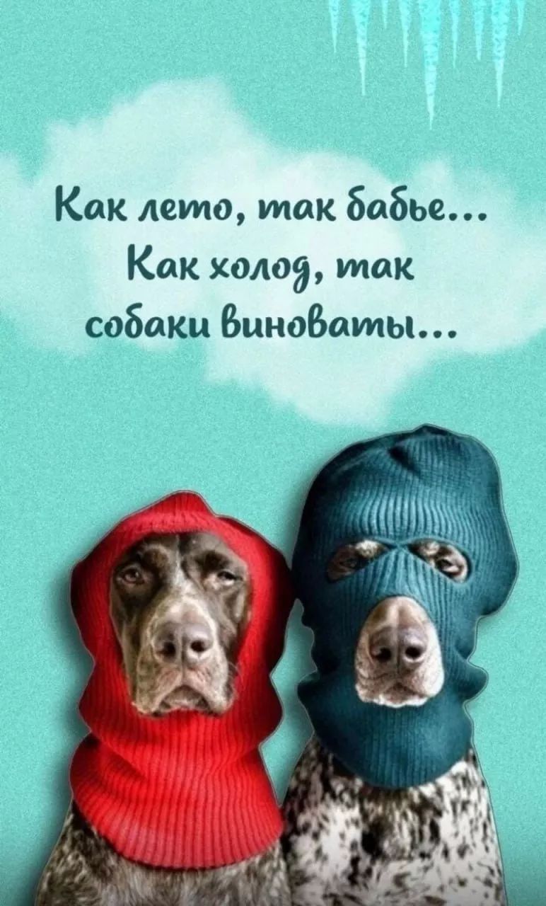 Как лето, так бабье... 
Как холод, так собаки виноваты...