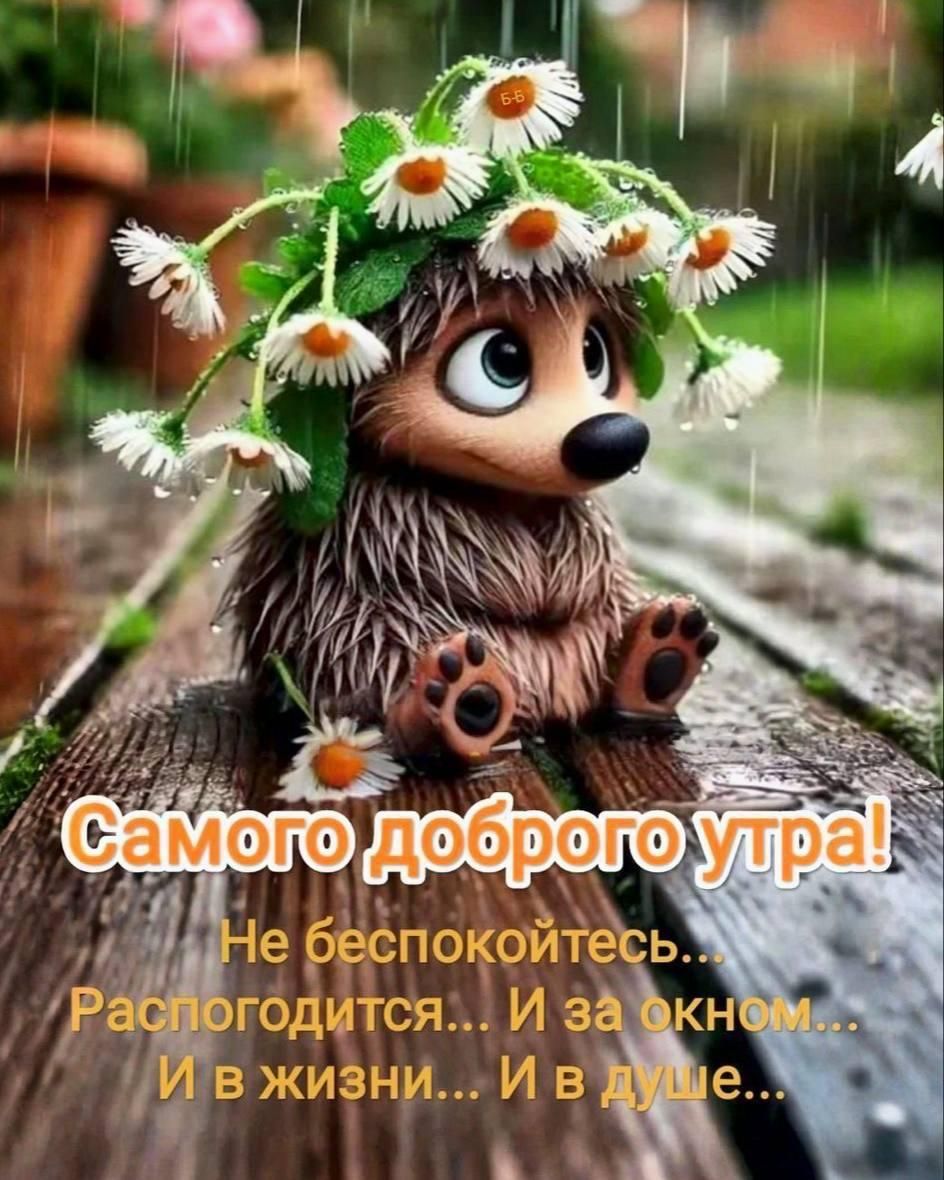 Самого доброго утра! Не беспокойтесь... Распогодится... И за окном... И в жизни... И в душе...