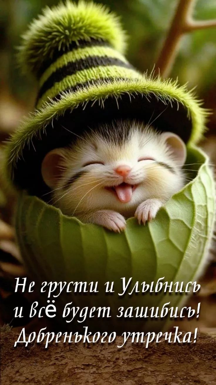 Не грусти и Улыбнись и всё будет зашибись! Добренкого утречка!