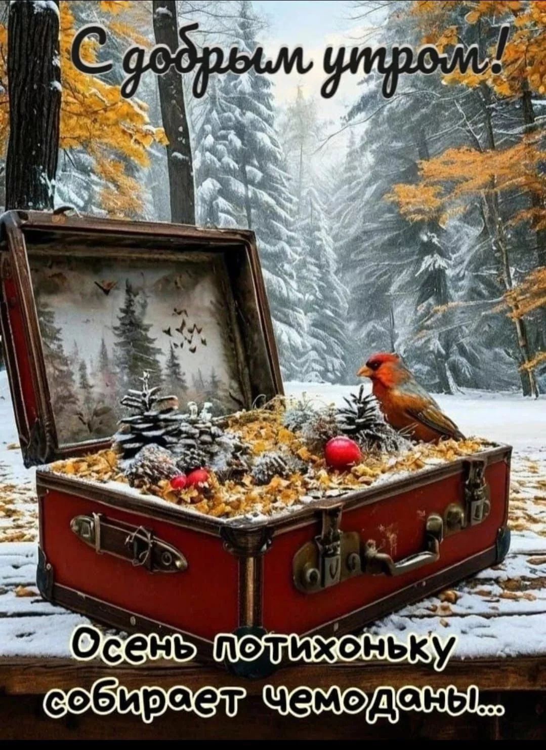 С добрым утром! Осень потихоньку собирает чемоданы...