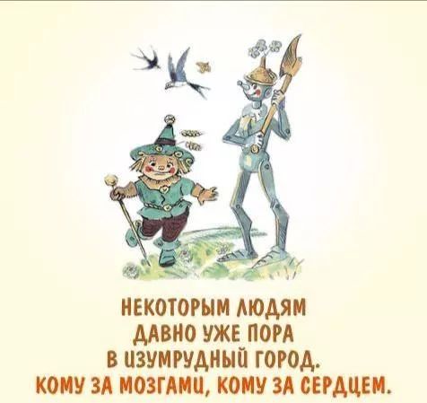 Некоторым людям давно уже пора в Изумрудный город, кому за мозгами, кому за сердцем.