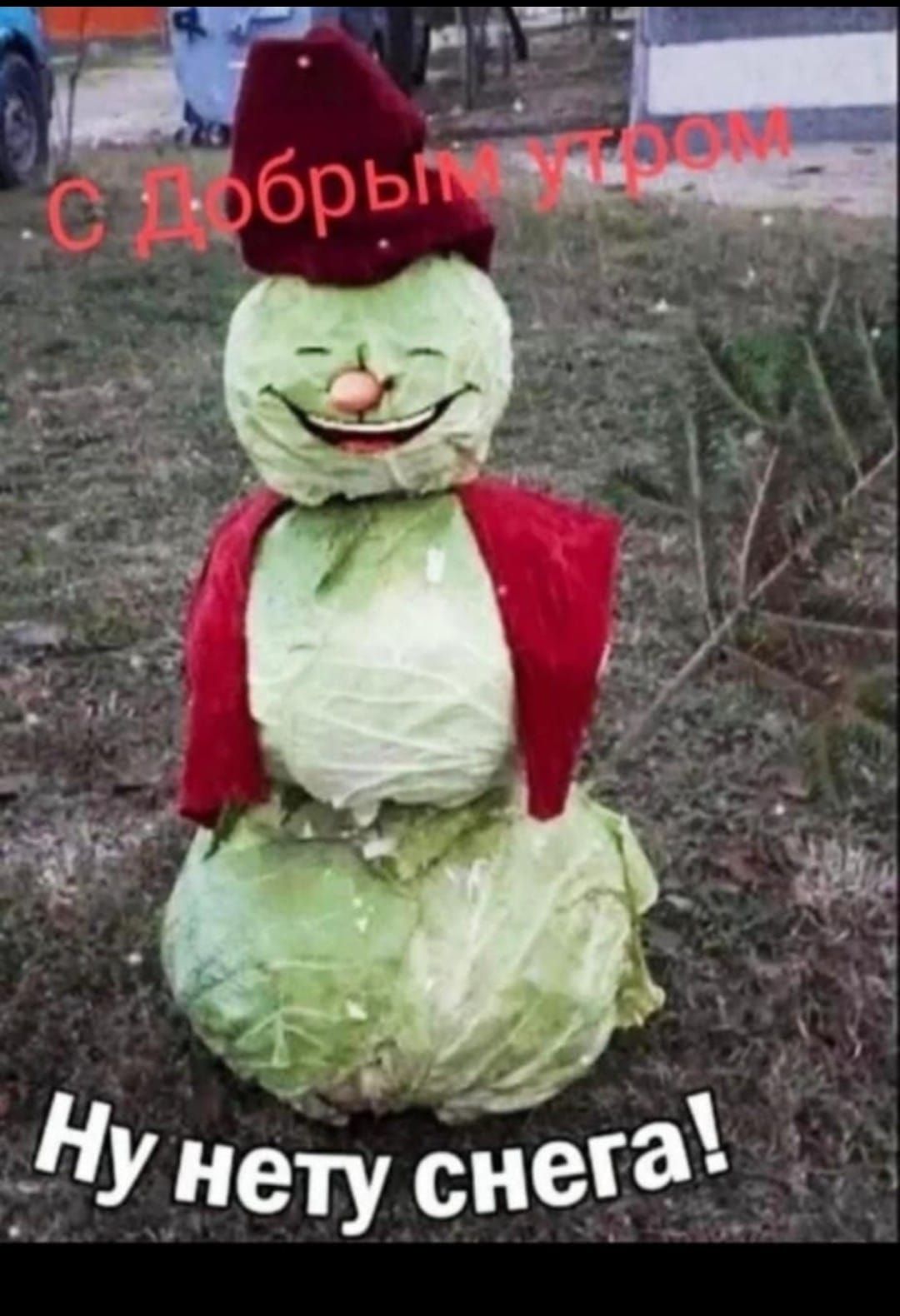 С Добрым утром
Ну нету снега!