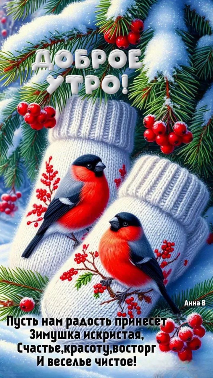 ДОБРОЕ УТРО! Пусть нам радость принесет Зимушка искристая, Счастье, красоту, восторг И веселье чистое!