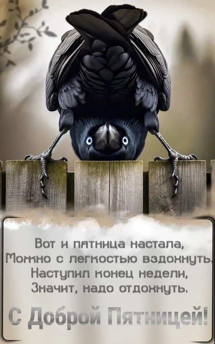 Вот и пятница настала, Можно с легкостью вздохнуть Наступил конец недели, Значит, надо отдохнуть. С Доброй Пятницей!