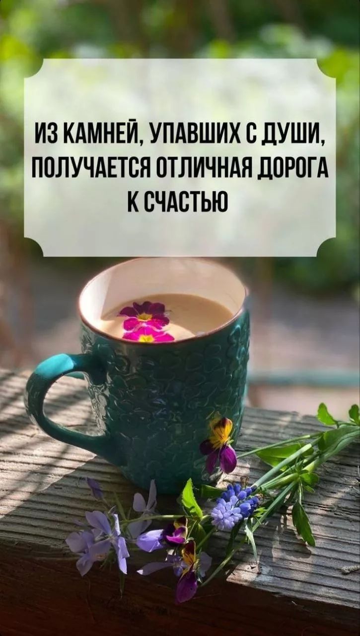ИЗ КАМНЕЙ, УПАЛШИХ С ДУШИ, ПОЛУЧАЕТСЯ ОТЛИЧНАЯ ДОРОГА К СЧАСТЬЮ