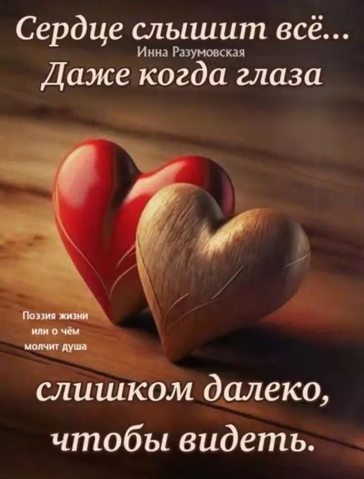 Сердце слышит всё... Даже когда глаза слишком далеко, чтобы видеть. Поэзия жизни или о чём молчит душа