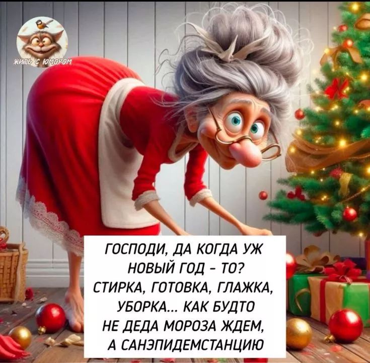 ГОСПОДИ, ДА КОГДА УЖ НОВЫЙ ГОД - ТО? СТИРКА, ГОТОВКА, ГЛАЖКА, УБОРКА... КАК БУДТО НЕ ДЕДА МОРОЗА ЖДЕМ, А САНПИДЕМСТАНЦИЮ